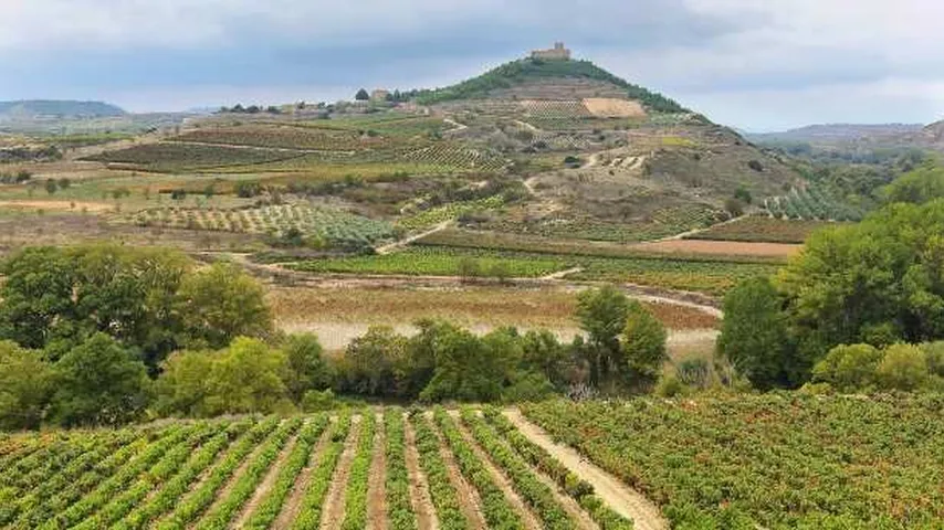 La Rioja es conocida por sus hermosos paisajes, su rica historia y su gastronomía y producción vinícola. (Foto: Envato)